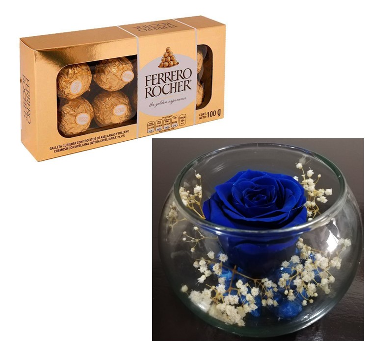  Rosa Preservada en Pecera y Bombones Ferrero Rocher 100 Grs